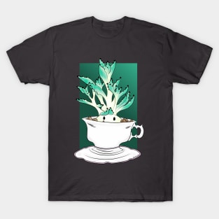 Succulent in a teacup T-Shirt